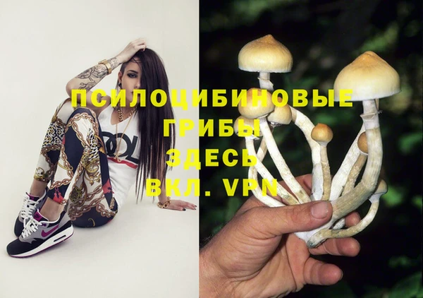 гидропоника Арсеньев