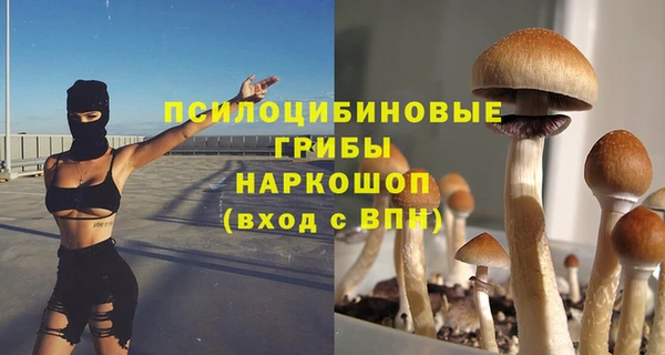 синтетический гашиш Алексеевка