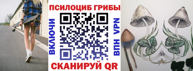 Псилоцибиновые грибы мухоморы  Саянск 